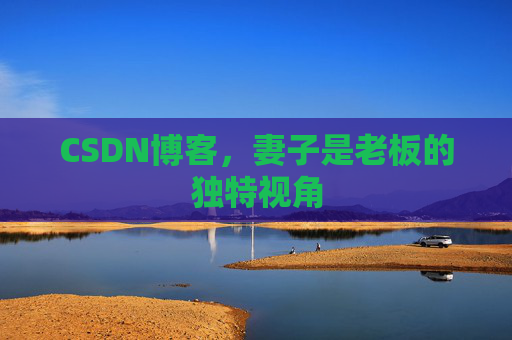 CSDN博客，妻子是老板的独特视角