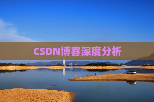 CSDN博客深度分析