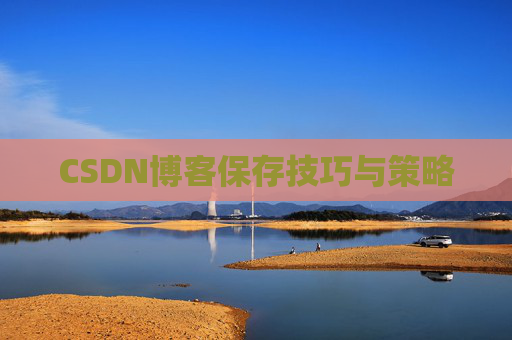 CSDN博客保存技巧与策略